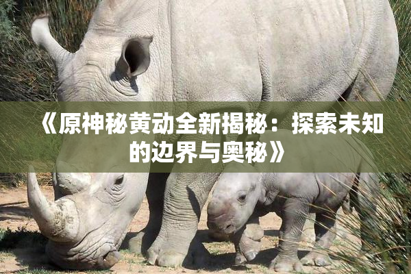 《原神秘黄动全新揭秘：探索未知的边界与奥秘》