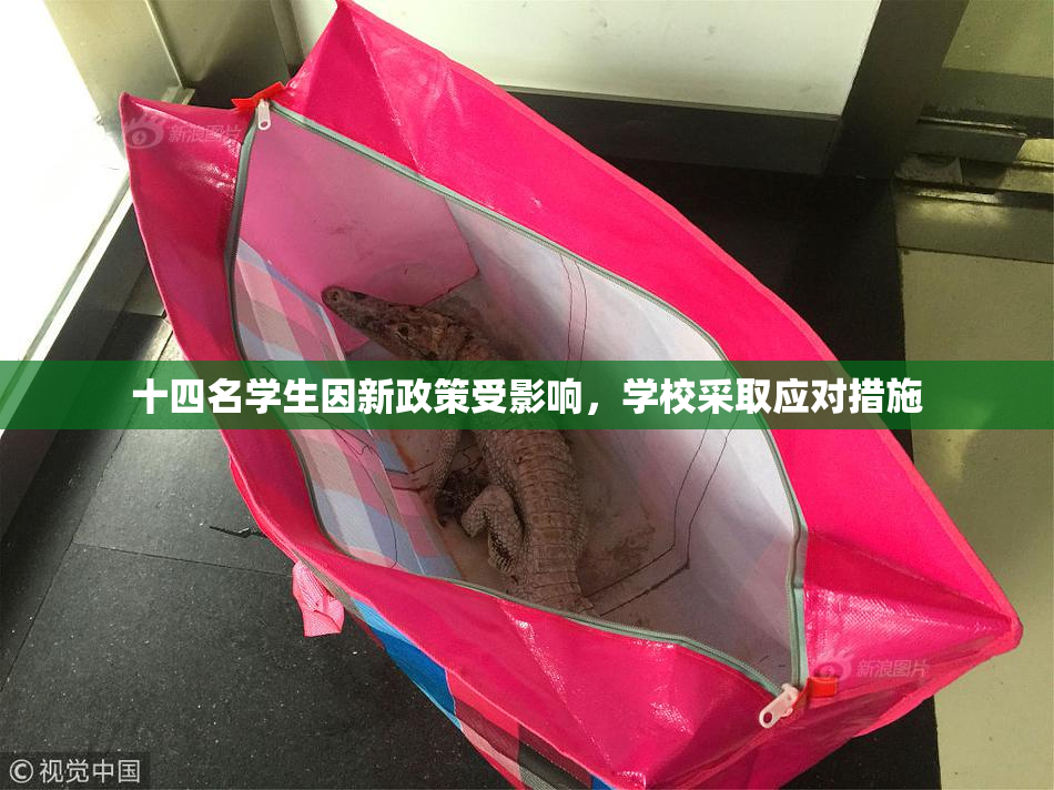 十四名学生因新政策受影响，学校采取应对措施