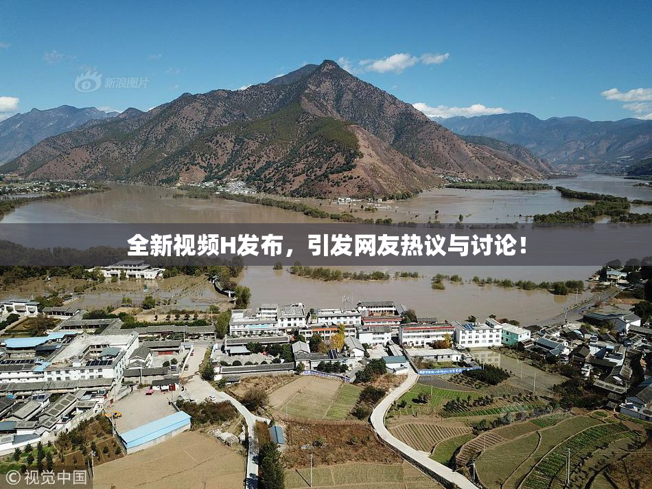 全新视频H发布，引发网友热议与讨论！