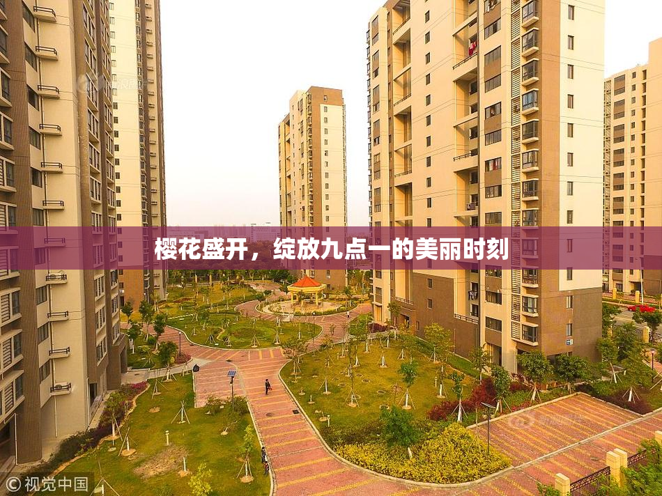 樱花盛开，绽放九点一的美丽时刻