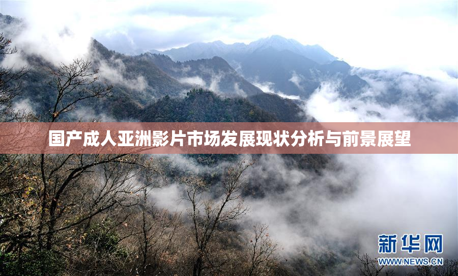 国产成人亚洲影片市场发展现状分析与前景展望
