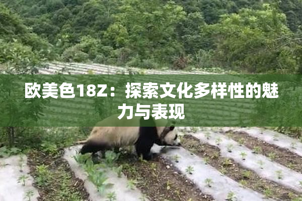 欧美色18Z：探索文化多样性的魅力与表现