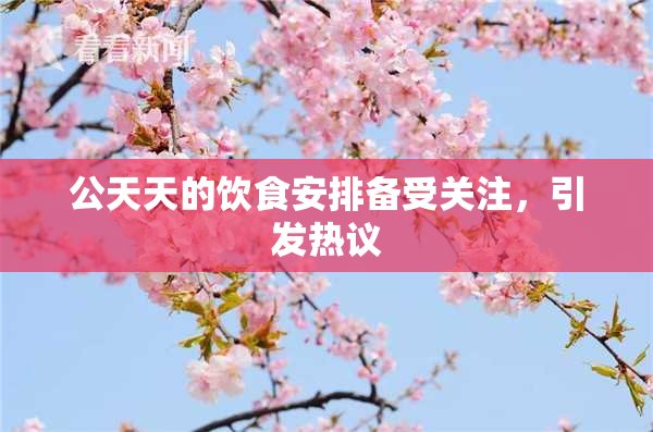 公天天的饮食安排备受关注，引发热议