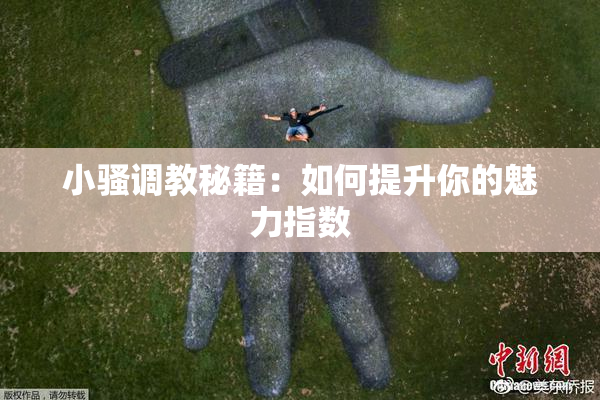 小骚调教秘籍：如何提升你的魅力指数