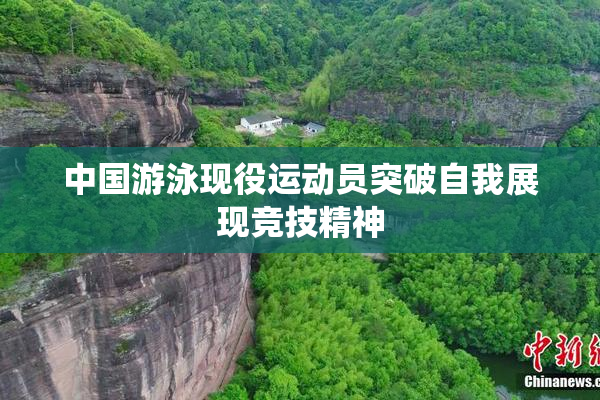 中国游泳现役运动员突破自我展现竞技精神