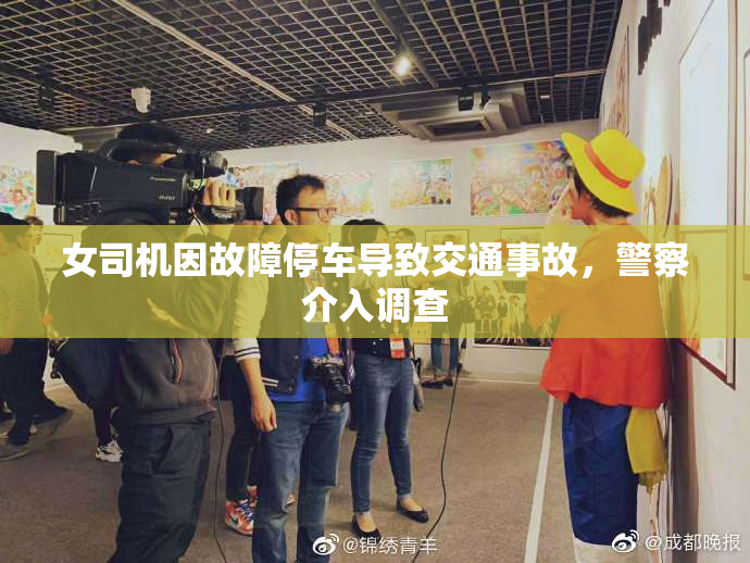 女司机因故障停车导致交通事故，警察介入调查