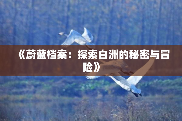 《蔚蓝档案：探索白洲的秘密与冒险》