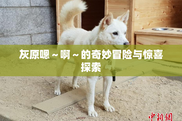 灰原嗯～啊～的奇妙冒险与惊喜探索