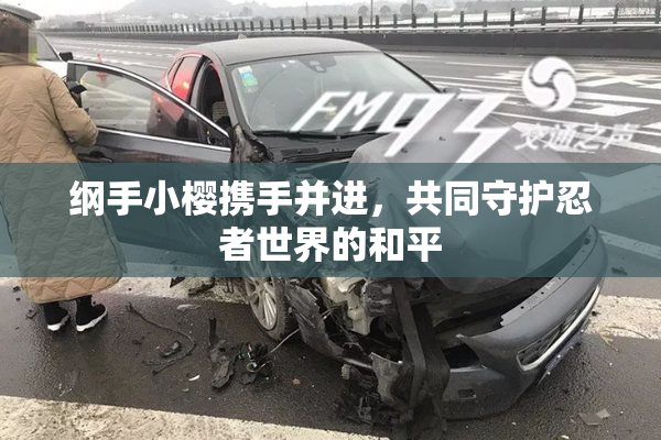 纲手小樱携手并进，共同守护忍者世界的和平