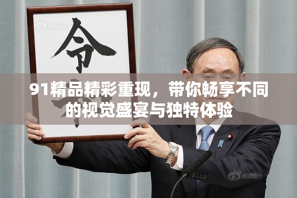 91精品精彩重现，带你畅享不同的视觉盛宴与独特体验