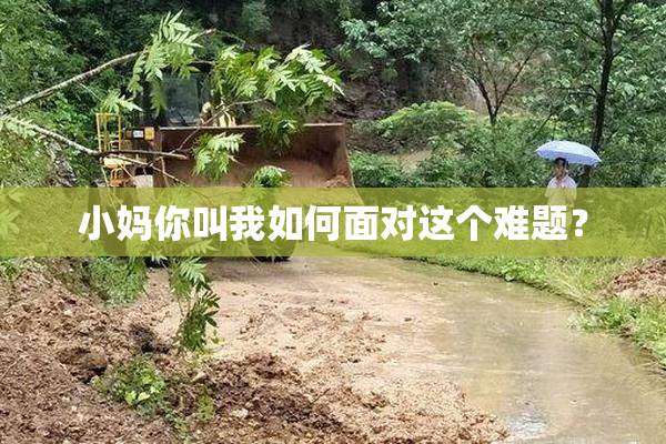 小妈你叫我如何面对这个难题？