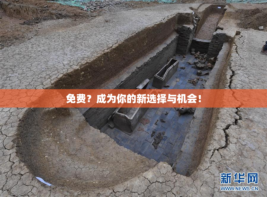 免费？成为你的新选择与机会！