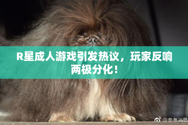 R星成人游戏引发热议，玩家反响两极分化！