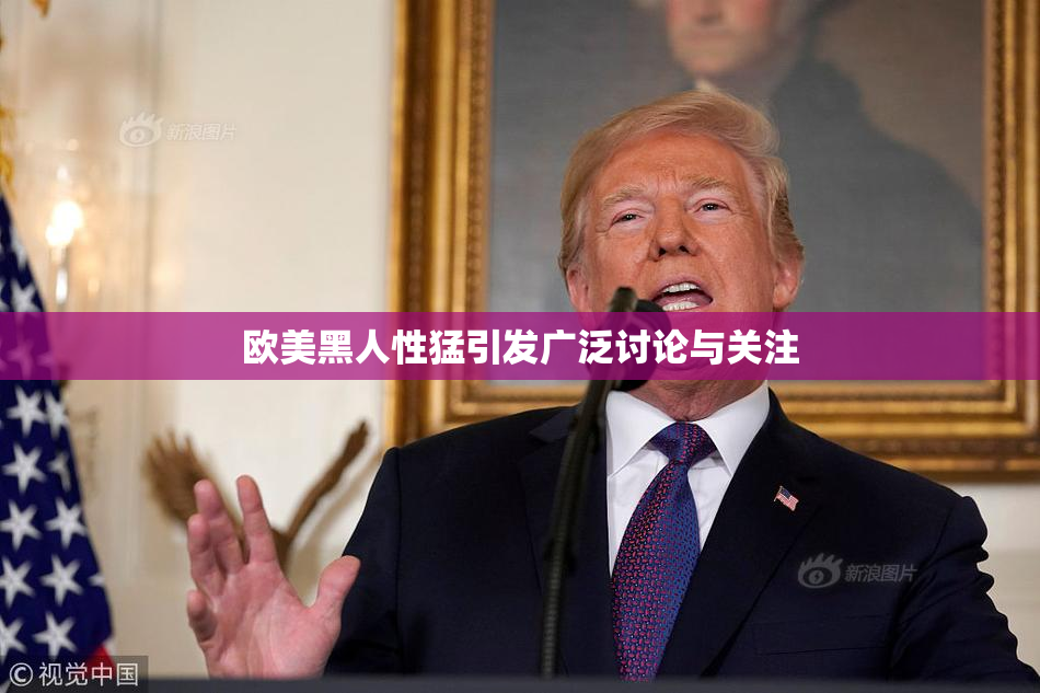 欧美黑人性猛引发广泛讨论与关注
