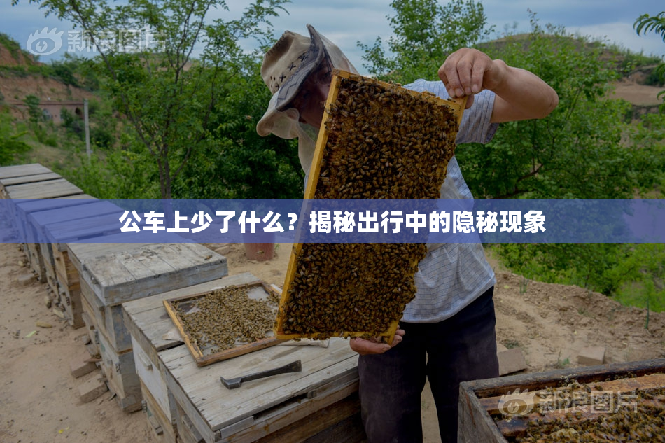 公车上少了什么？揭秘出行中的隐秘现象