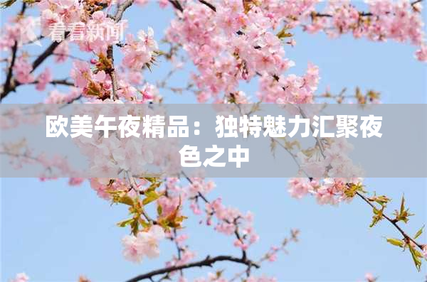欧美午夜精品：独特魅力汇聚夜色之中