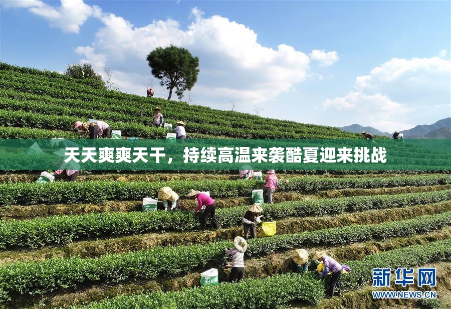 天天爽爽天干，持续高温来袭酷夏迎来挑战