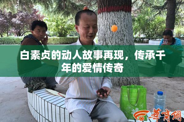 白素贞的动人故事再现，传承千年的爱情传奇
