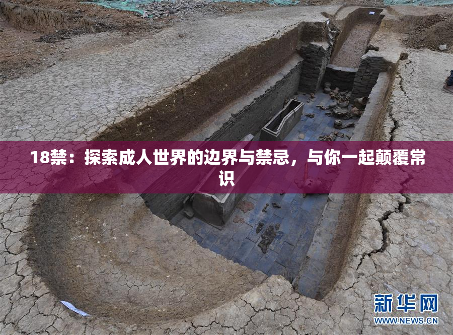 18禁：探索成人世界的边界与禁忌，与你一起颠覆常识