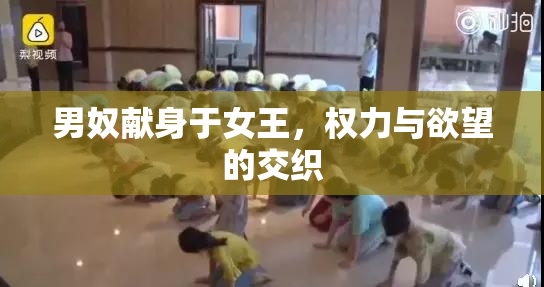 男奴献身于女王，权力与欲望的交织