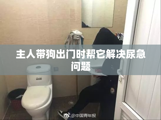 主人带狗出门时帮它解决尿急问题