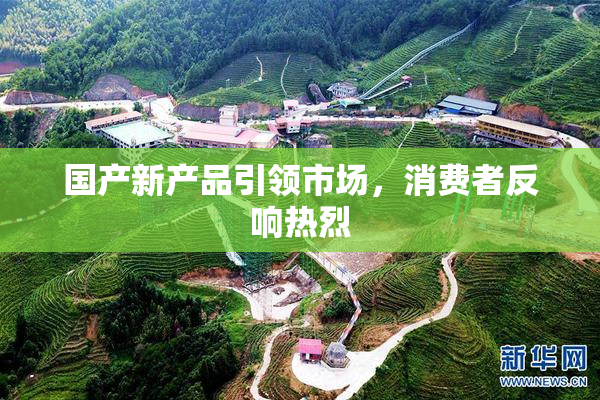 国产新产品引领市场，消费者反响热烈