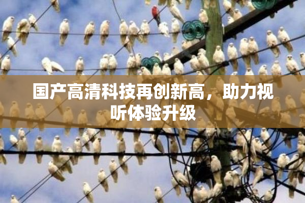 国产高清科技再创新高，助力视听体验升级