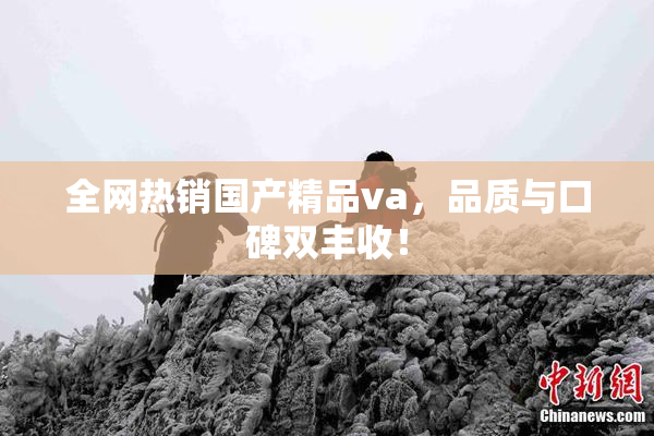 全网热销国产精品va，品质与口碑双丰收！