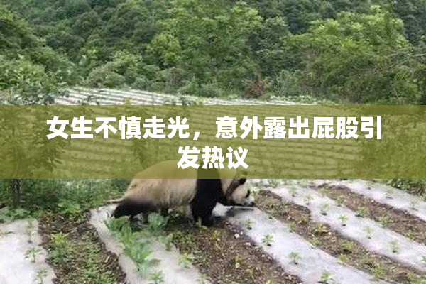 女生不慎走光，意外露出屁股引发热议