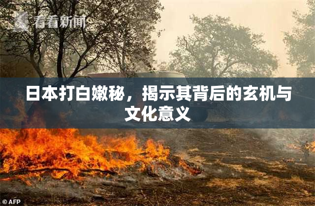 日本打白嫩秘，揭示其背后的玄机与文化意义