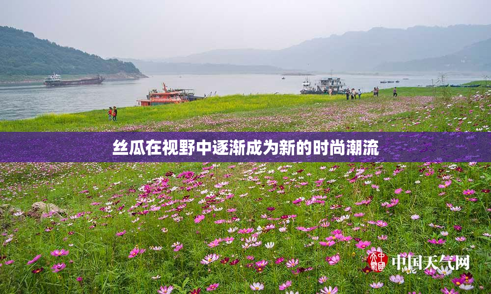 丝瓜在视野中逐渐成为新的时尚潮流