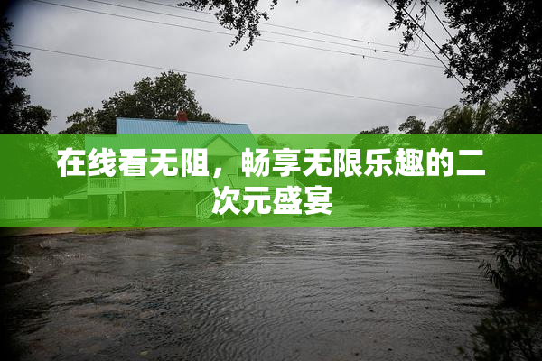 在线看无阻，畅享无限乐趣的二次元盛宴