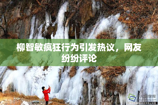 柳智敏疯狂行为引发热议，网友纷纷评论