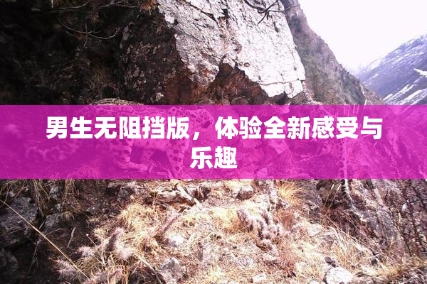 男生无阻挡版，体验全新感受与乐趣