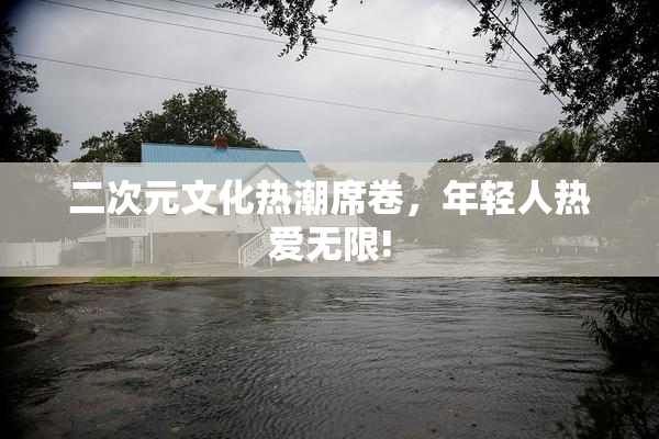 二次元文化热潮席卷，年轻人热爱无限!