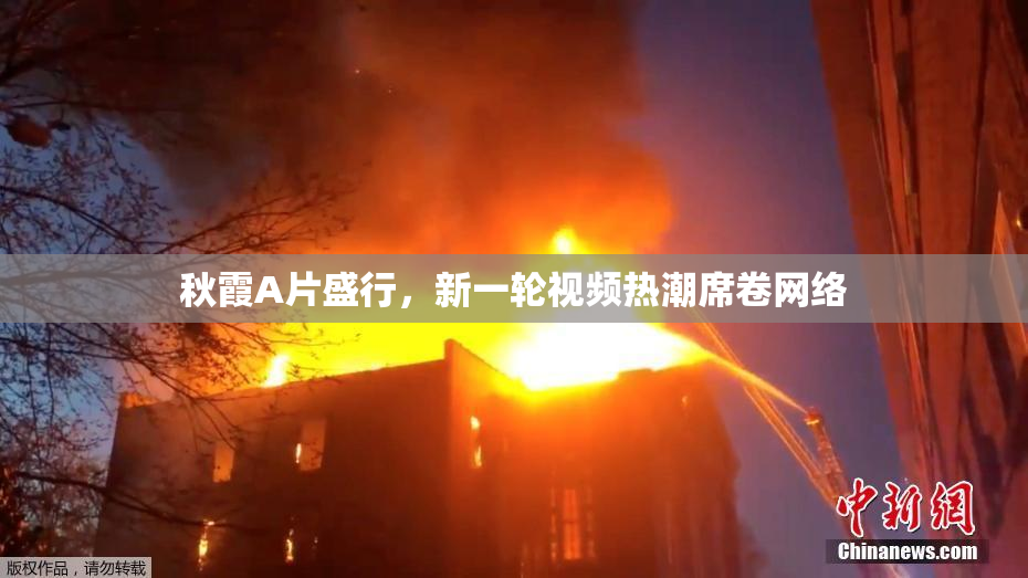 秋霞A片盛行，新一轮视频热潮席卷网络