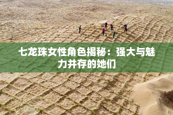 七龙珠女性角色揭秘：强大与魅力并存的她们