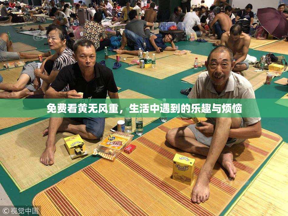 免费看黄无风重，生活中遇到的乐趣与烦恼