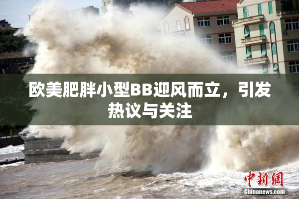 欧美肥胖小型BB迎风而立，引发热议与关注