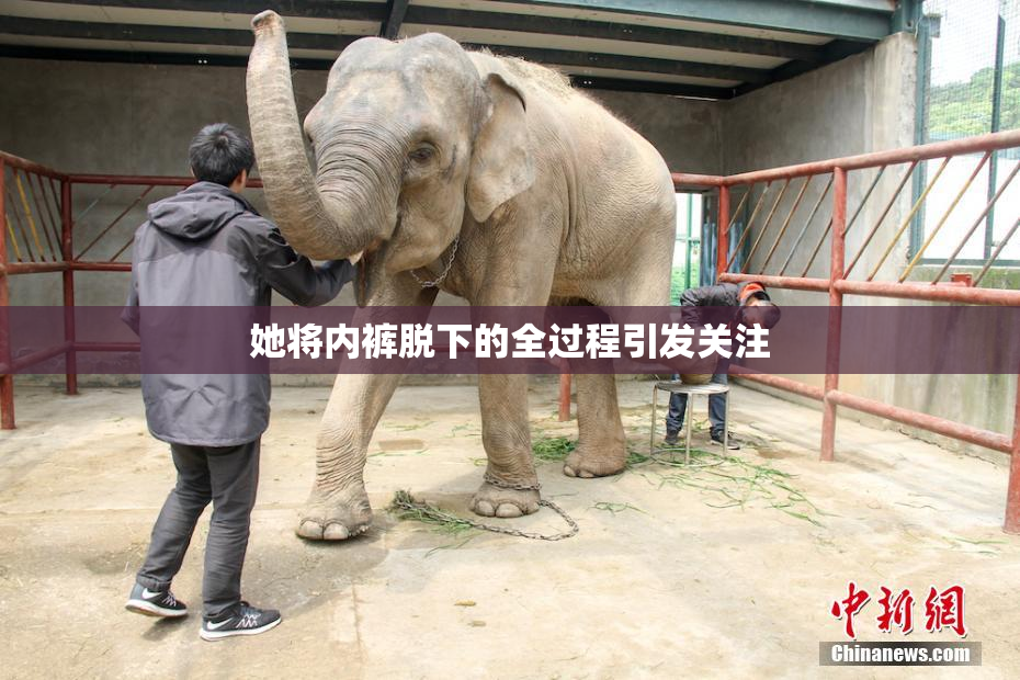 她将内裤脱下的全过程引发关注