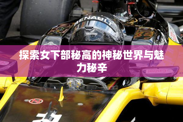 探索女下部秘高的神秘世界与魅力秘辛