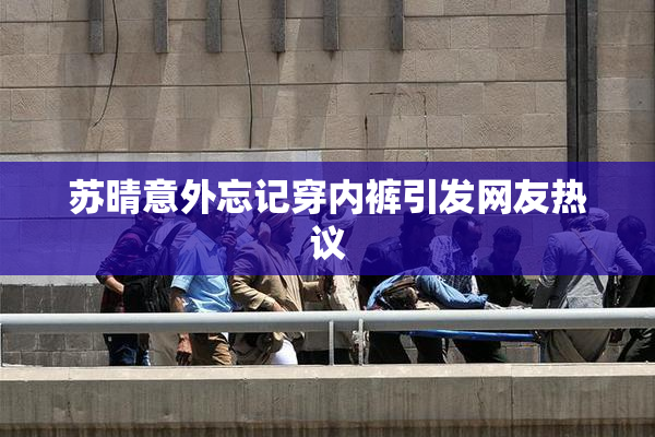 苏晴意外忘记穿内裤引发网友热议