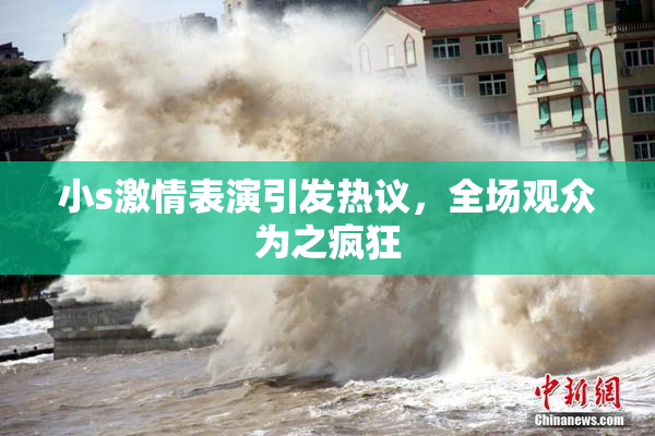 小s激情表演引发热议，全场观众为之疯狂