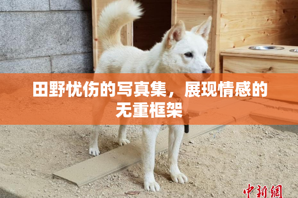 田野忧伤的写真集，展现情感的无重框架