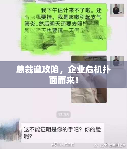 总裁遭攻陷，企业危机扑面而来！