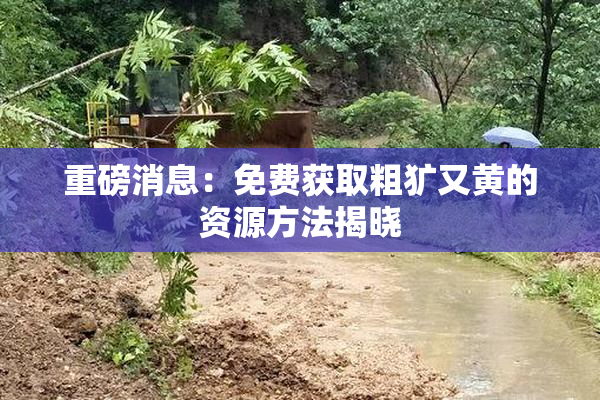 重磅消息：免费获取粗犷又黄的资源方法揭晓