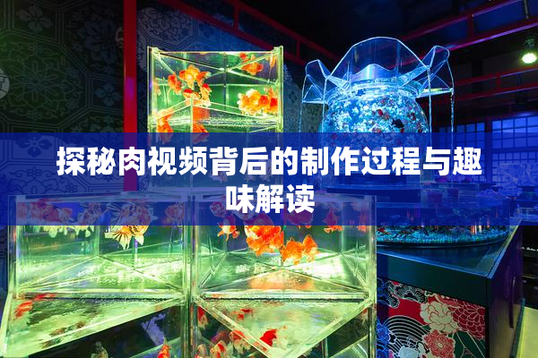 探秘肉视频背后的制作过程与趣味解读