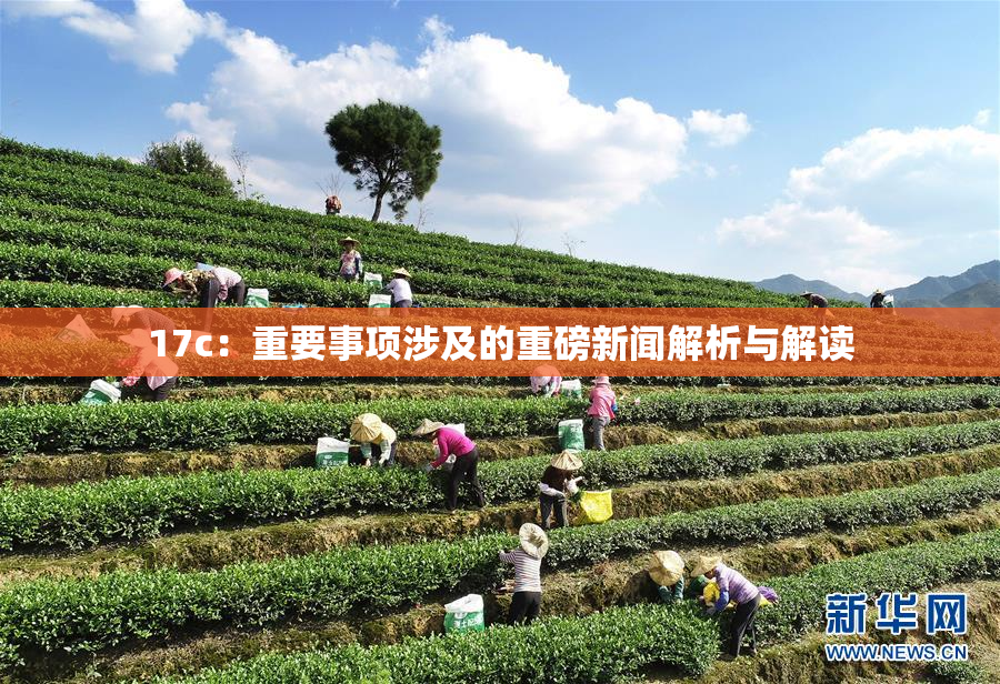 17c：重要事项涉及的重磅新闻解析与解读