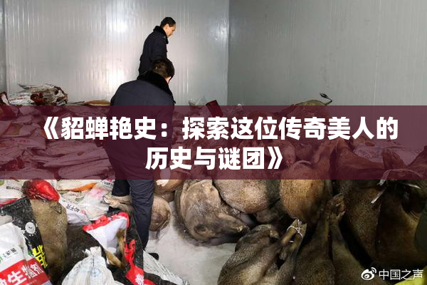 《貂蝉艳史：探索这位传奇美人的历史与谜团》