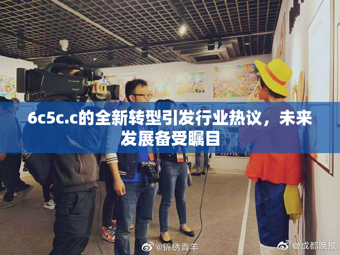 6c5c.c的全新转型引发行业热议，未来发展备受瞩目